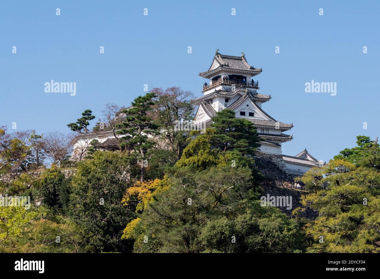 Le château de Kochi (1611). Un des 12 châteaux intacts au Japon, Kochi, île de Shikoku, Japon Banque D'Images