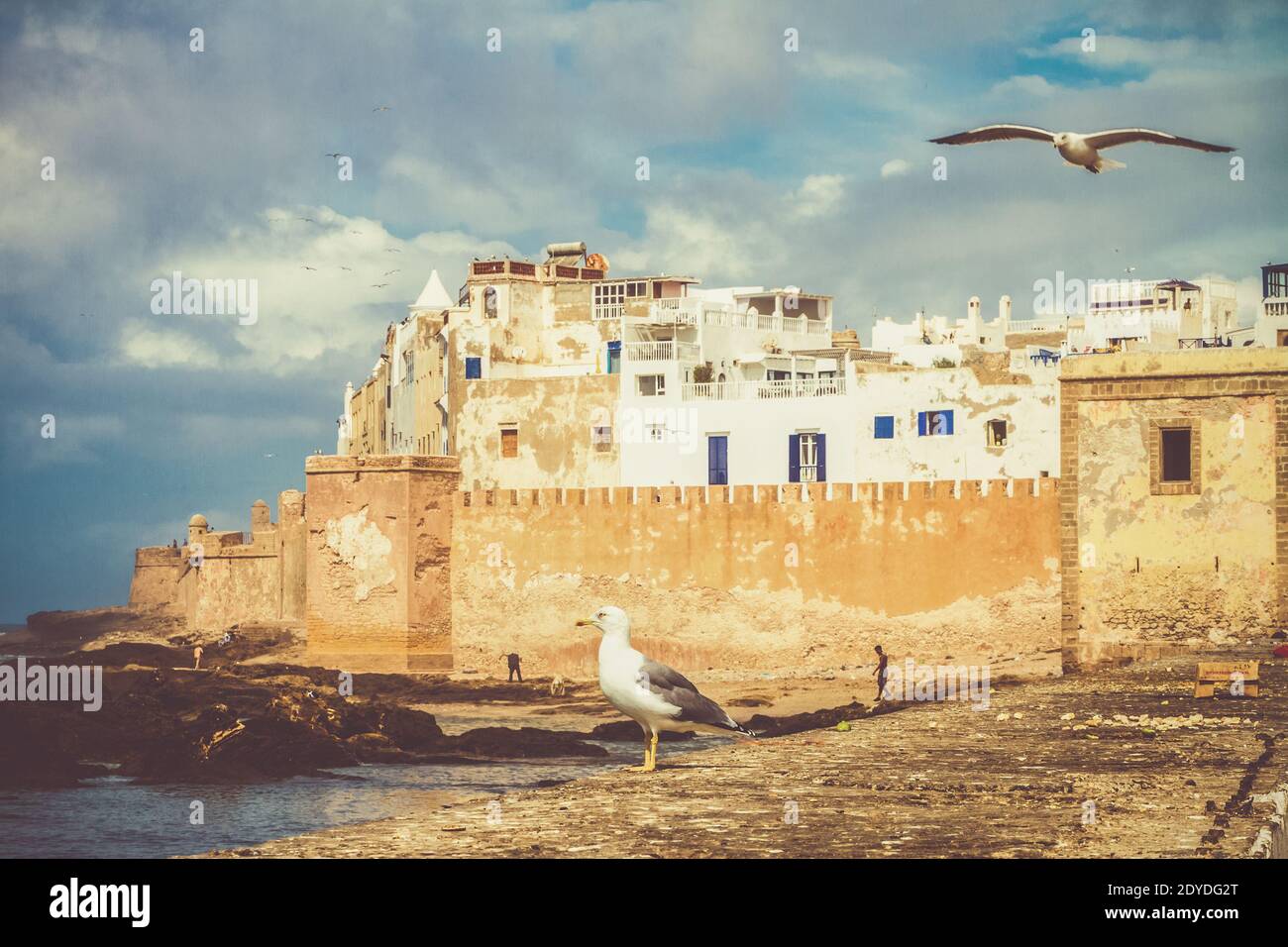 Ville costale Senic d'Essaouira - Magador, Marrakech, Maroc. Banque D'Images