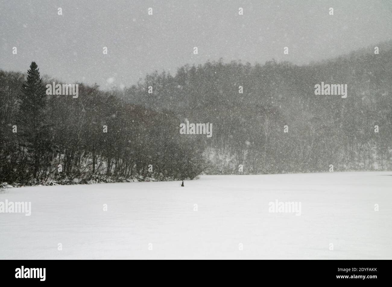 Bassin Kagami-ike dans la préfecture de Nagano au Japon. En hiver, la neige tombe couverte à la surface de l'eau et elle est belle. Banque D'Images