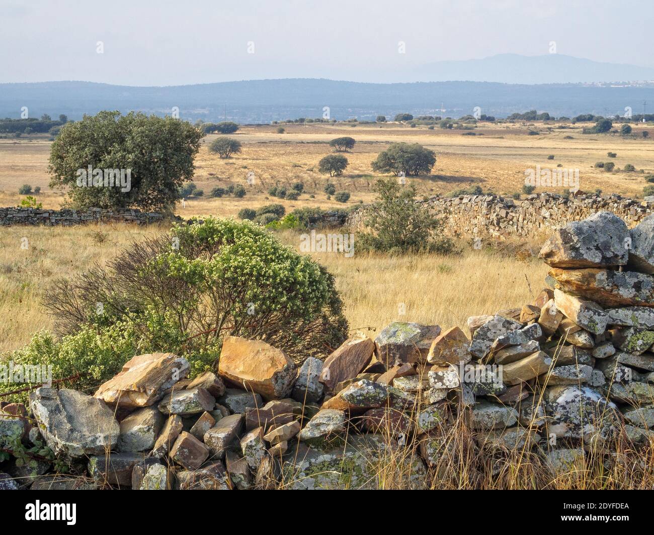 Terre aride après un long été chaud - Santa Catalina de Somoza, Castille et Leon, Espagne Banque D'Images