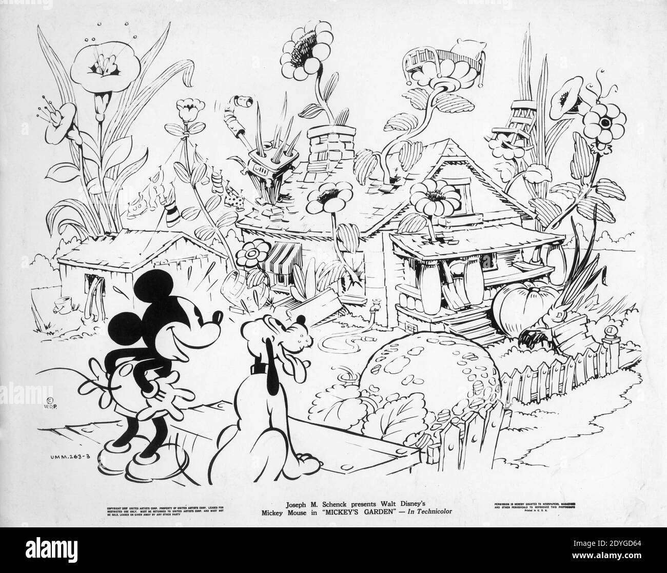 MICKEY MOUSE et PLUTON de WALT DISNEY dans MICKEY'S GARDEN 1935 ...