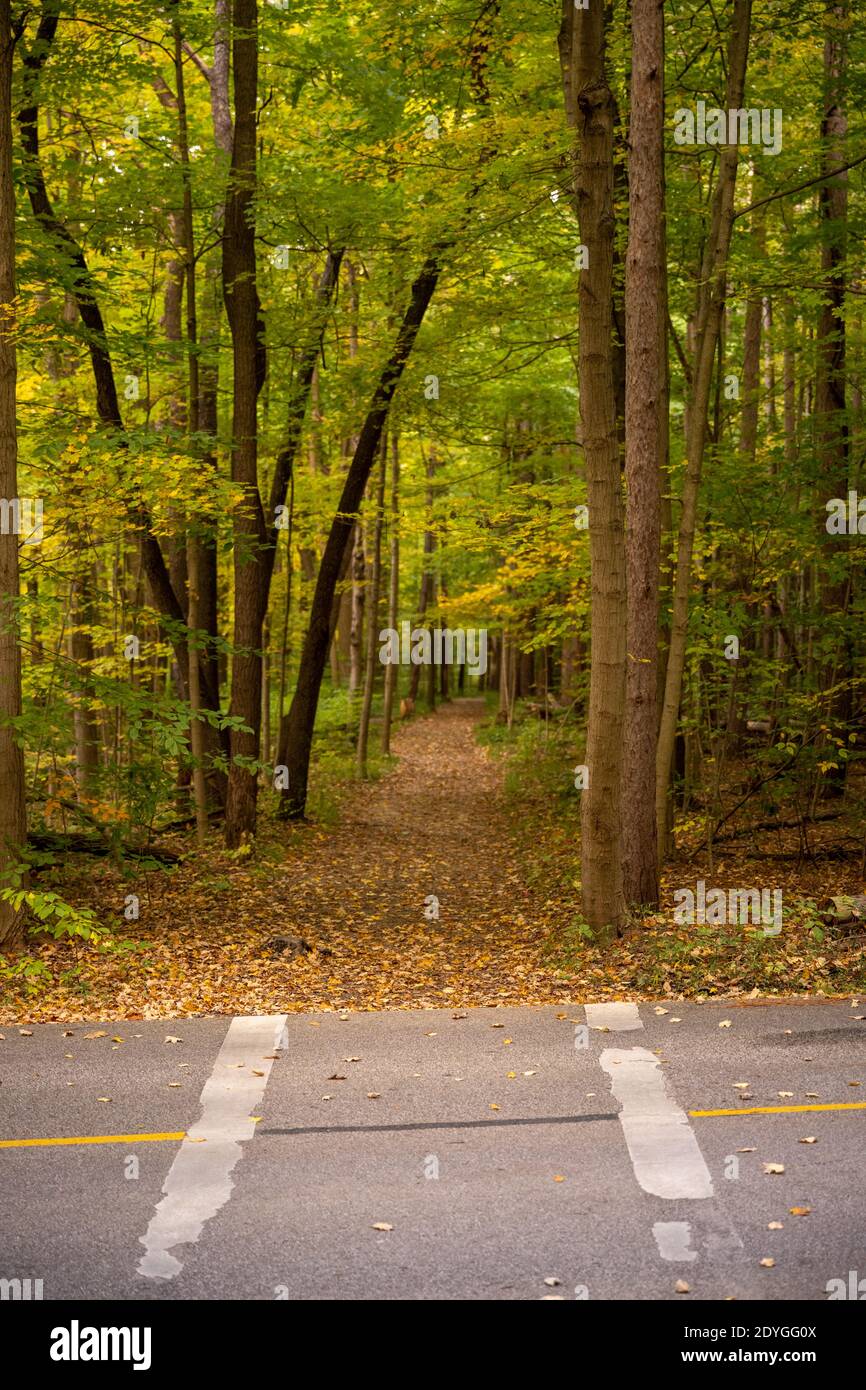 Trail traverse la route vers la Forêt verte à Cuyahoga Parc national de Valley Banque D'Images