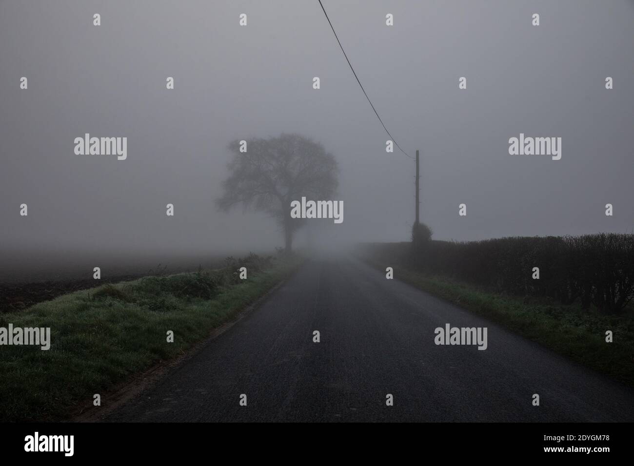 La brume hivernale se trouve à travers l'horizon bas dans le Suffolk, dans un matin froid de décembre, en Angleterre, au Royaume-Uni Banque D'Images