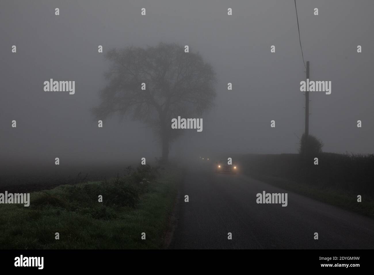 La brume hivernale se trouve à travers l'horizon bas dans le Suffolk, dans un matin froid de décembre, en Angleterre, au Royaume-Uni Banque D'Images