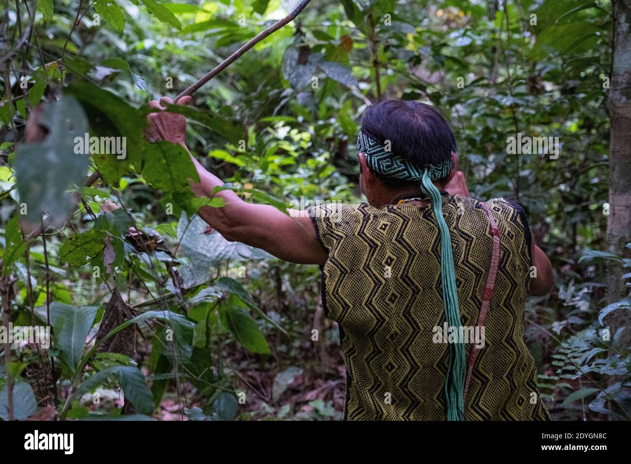 Un chaman marche dans la forêt amazonienne, l'État d'Acre, Brésil. Banque D'Images