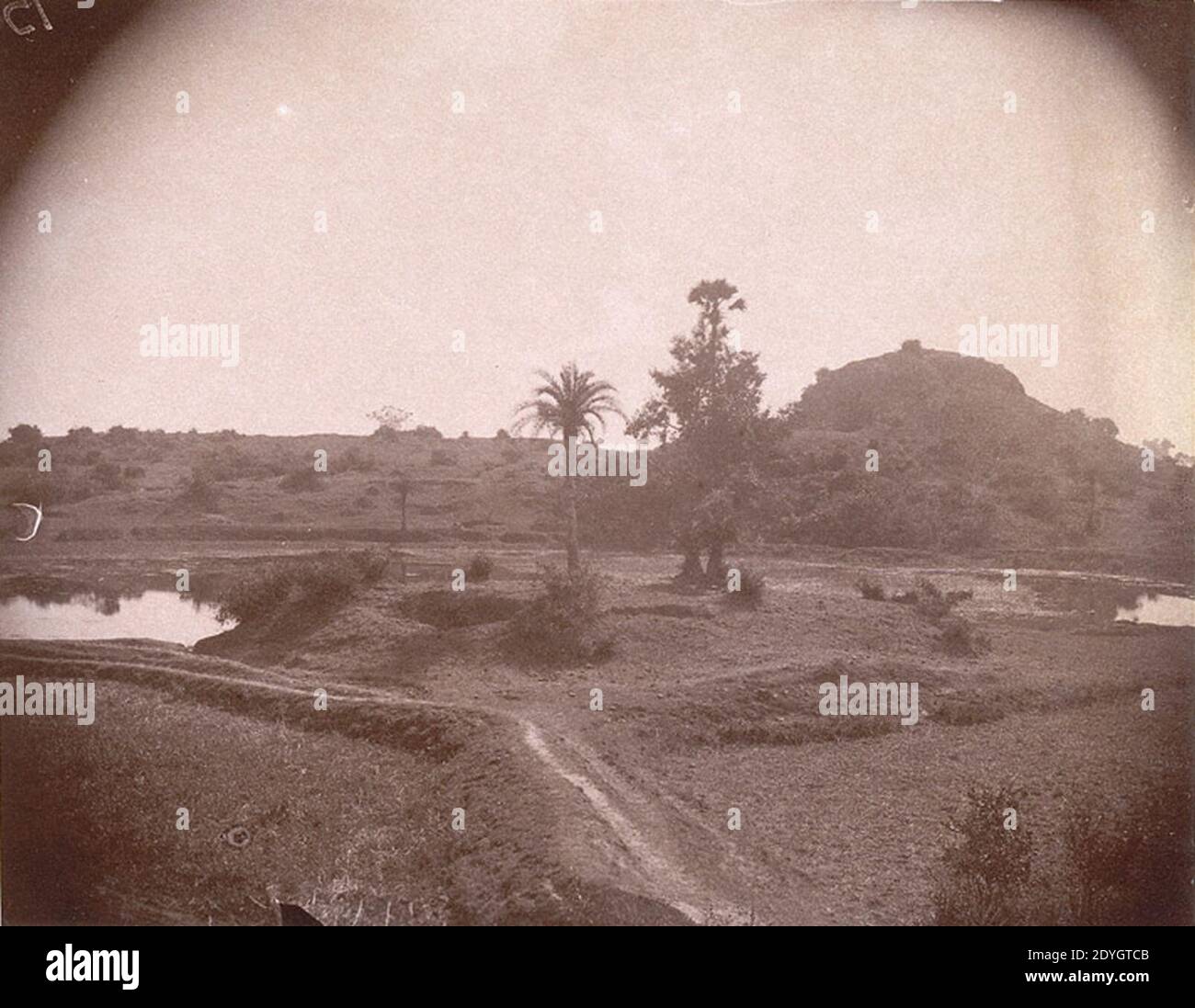 Vue sur le paysage Nalanda Alexander E Caddy 1895. Banque D'Images