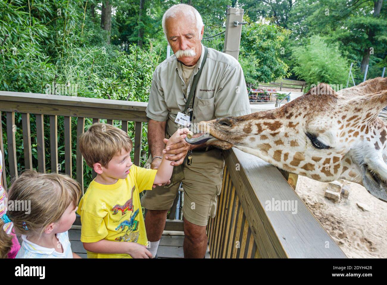 Alabama Birmingham, Zoo girafe langue alimentation, garçon fille homme animal entraîneur, Banque D'Images