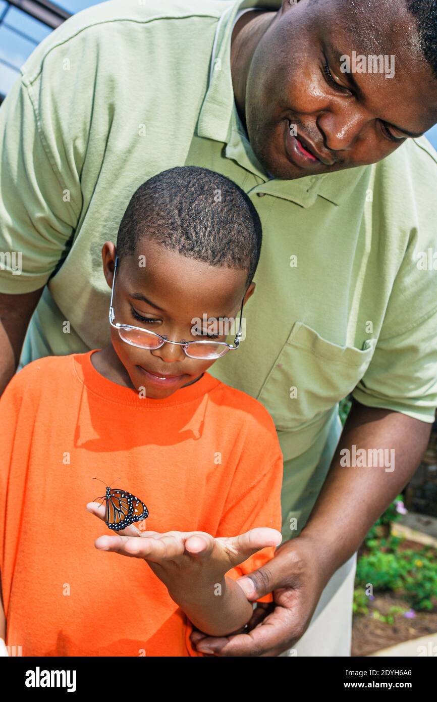 Huntsville Alabama, jardin botanique Butterfly House, enfant fils Noir garçon père recherche tenue, Banque D'Images