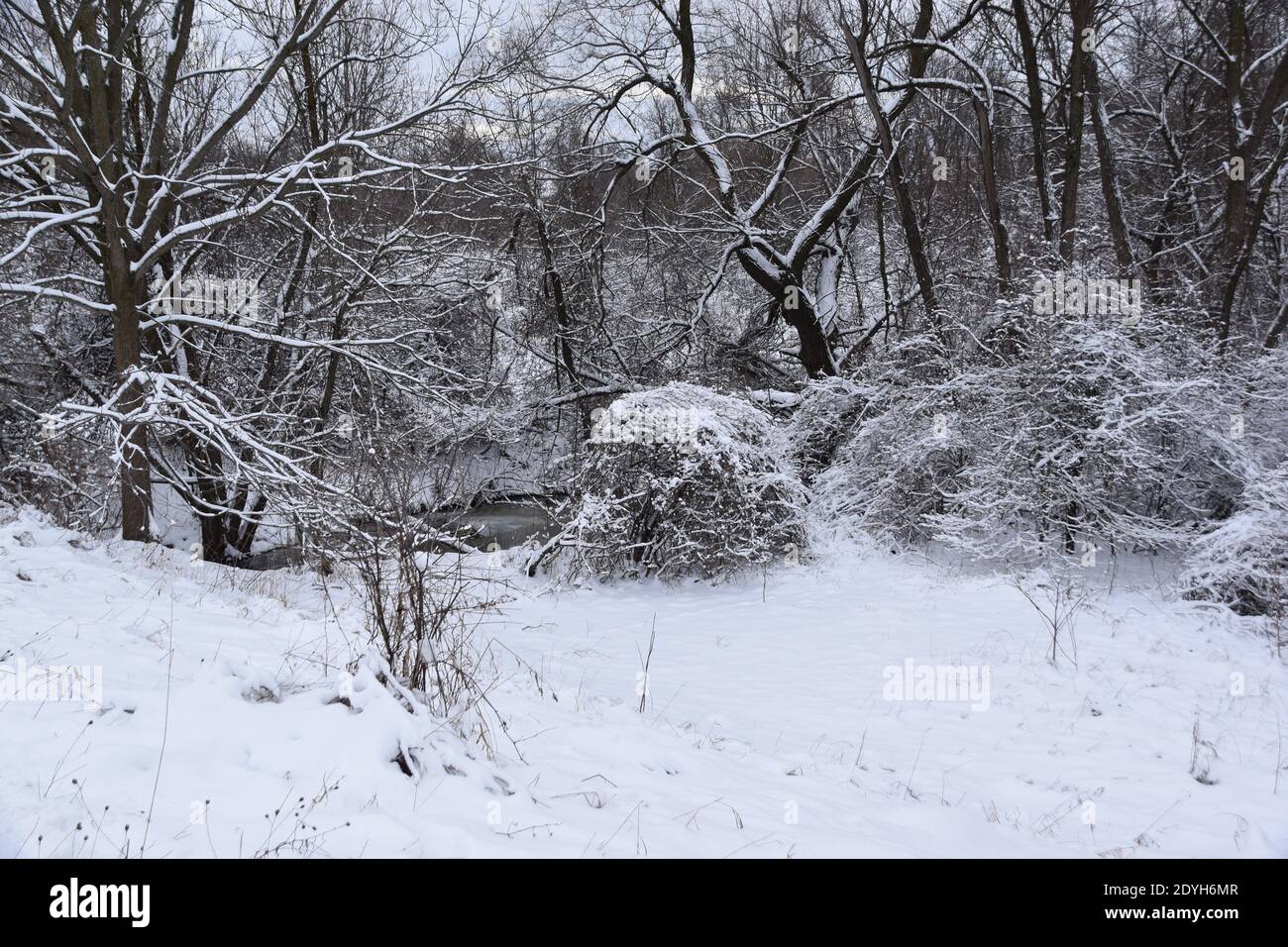 Walking in a Winter Wonderland Banque D'Images