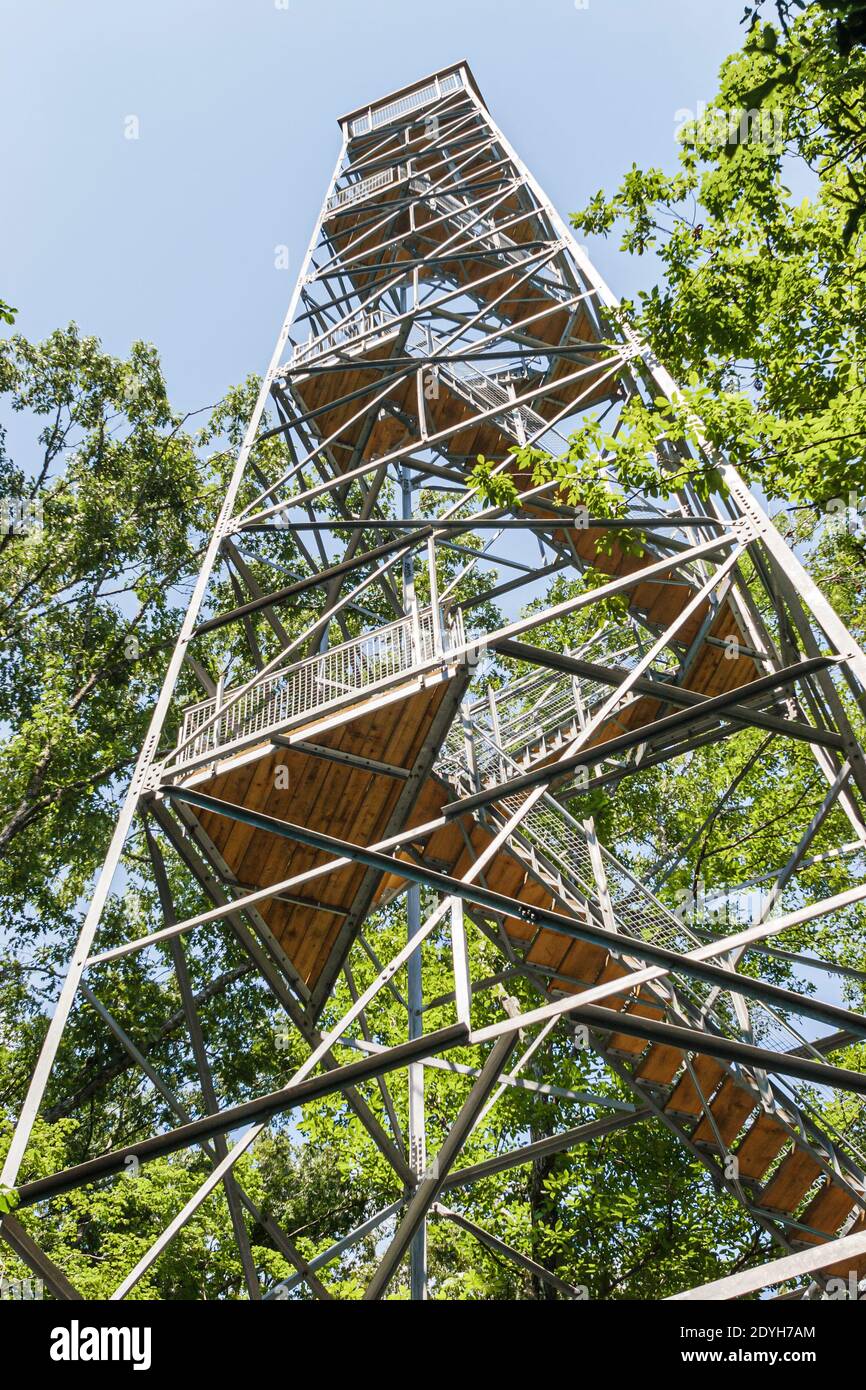 Alabama Marion Perry Lakes Park feuillus plaine d'inondation arbres forestiers, 100 pieds de canopée tour d'observation des oiseaux, Banque D'Images