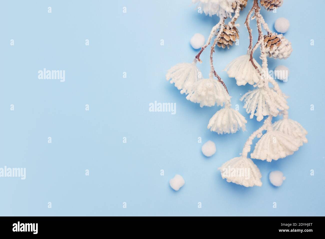 Maquette de feuilles d'eucalyptus et de coton avec place pour le texte sur fond bleu. Couronne en branches, cônes. Flat lay, vue de dessus Banque D'Images
