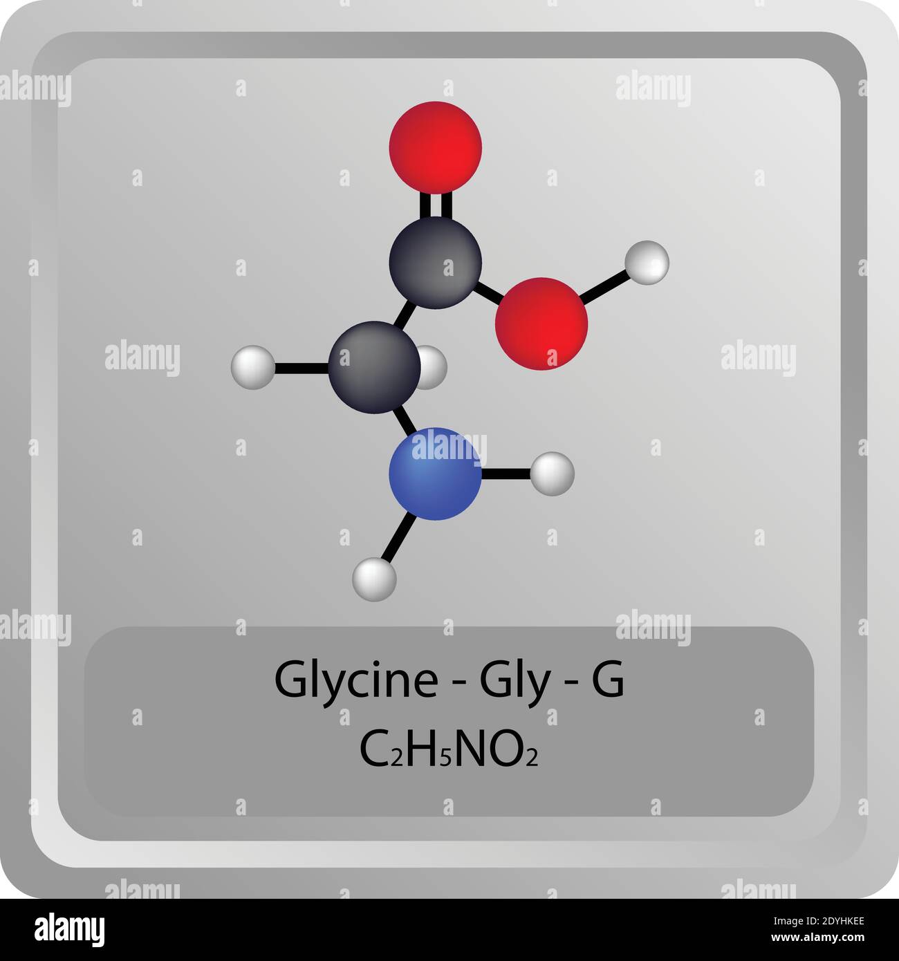 Glycine – Gly – G structure chimique des acides aminés. Formule moléculaire de la molécule modèle de bille et de bâton. Biochimie, médecine et enseignement des sciences. Illustration de Vecteur