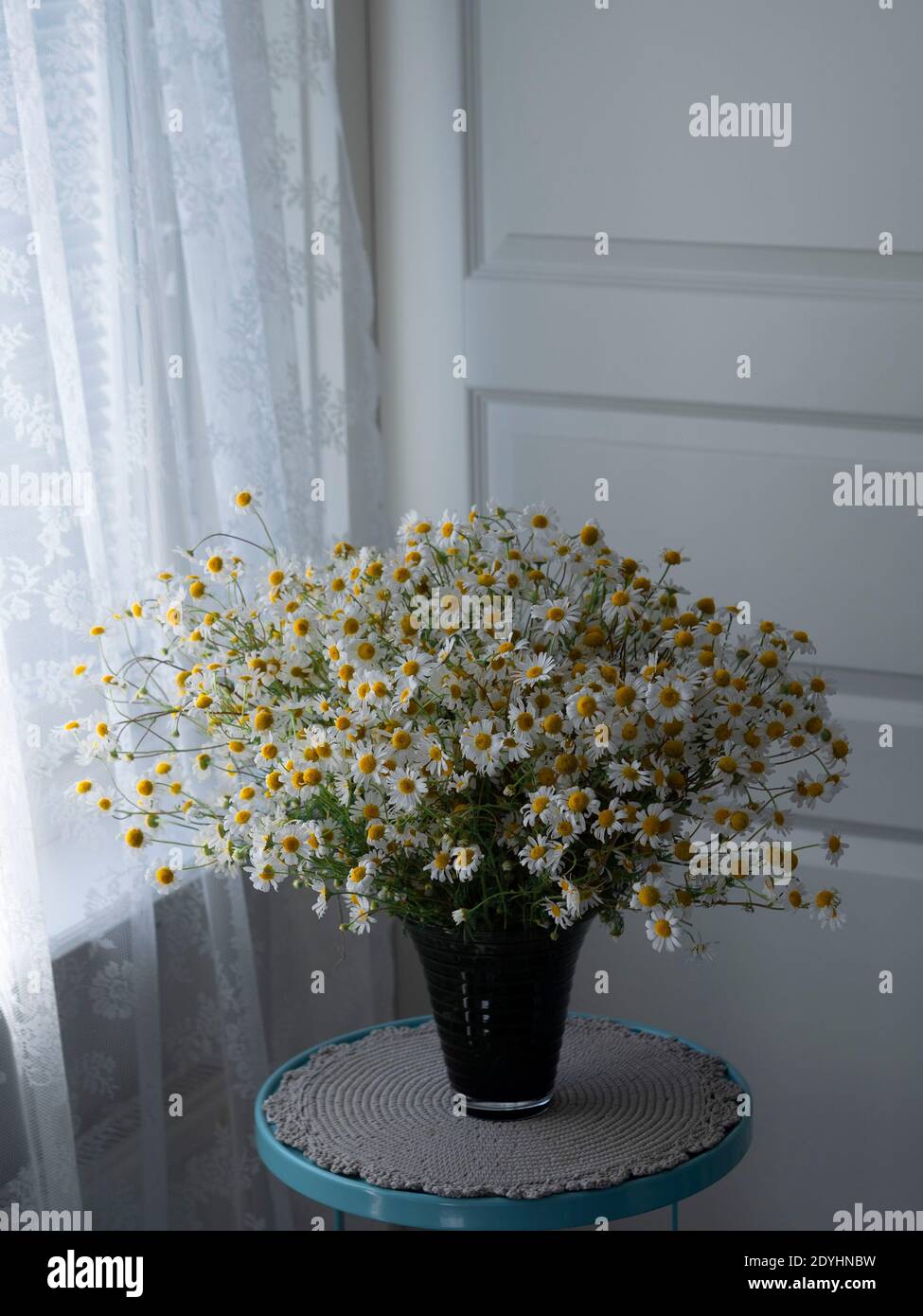 Fleurs de camomille dans un vase de la table. Banque D'Images