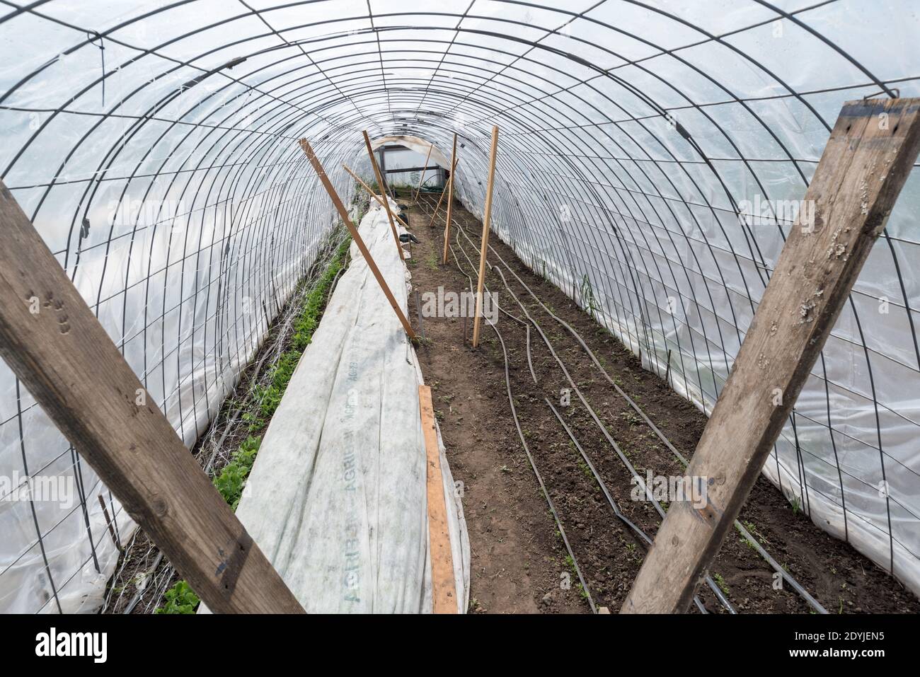 Caterpillar Hoop House sur une ferme dans la vallée de Wallowa en Oregon. Banque D'Images
