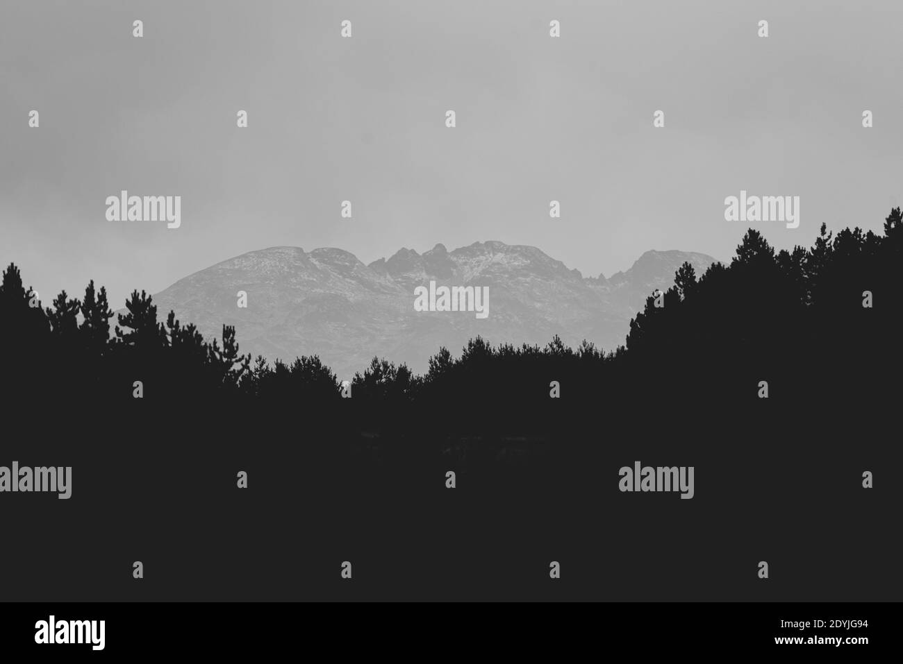 Sommet de montagne bulgare et silhouette de forêt en noir et blanc téléobjectif monochrome paysage Banque D'Images