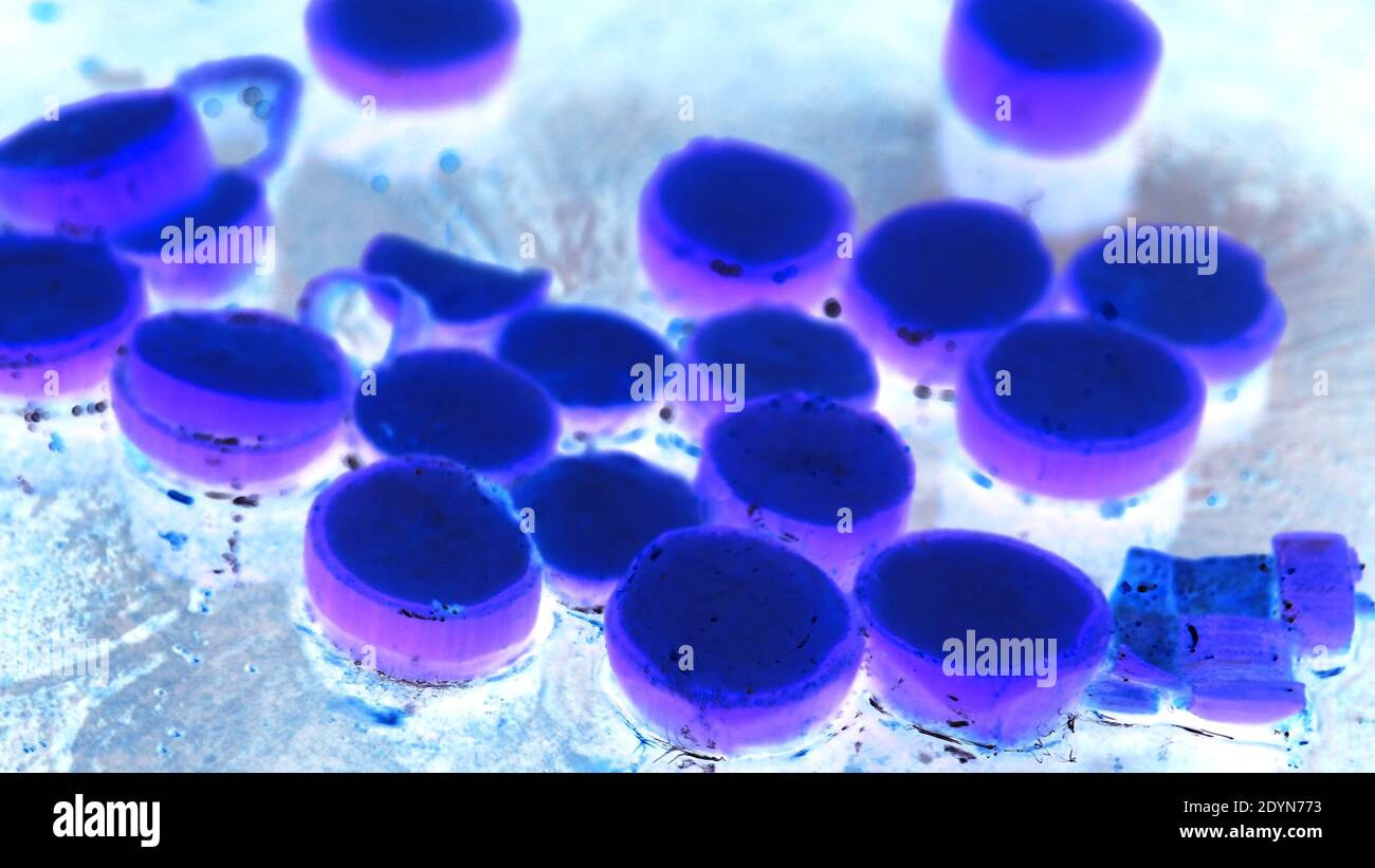 Ronds bleus sur fond bleu Banque D'Images