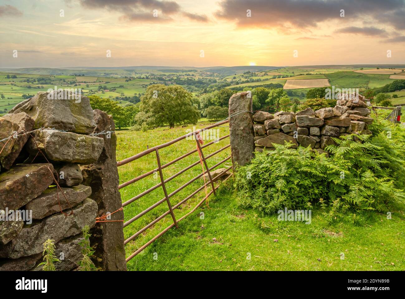 Mur en pierre sèche avec porte aux North York Moors ou North Yorkshire Moors dans le North Yorkshire, Angleterre Banque D'Images