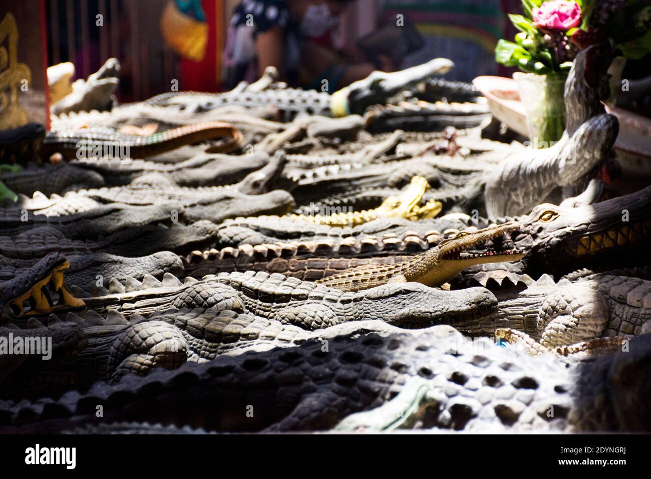 Le peuple thaïlandais utilise le modèle de figure de crocodile sacrificiel offrant rite rituel Offre à Dieu ange de divinité à Zian PAE Rong si Sanctuaire du temple de Wat Makham ou W Banque D'Images