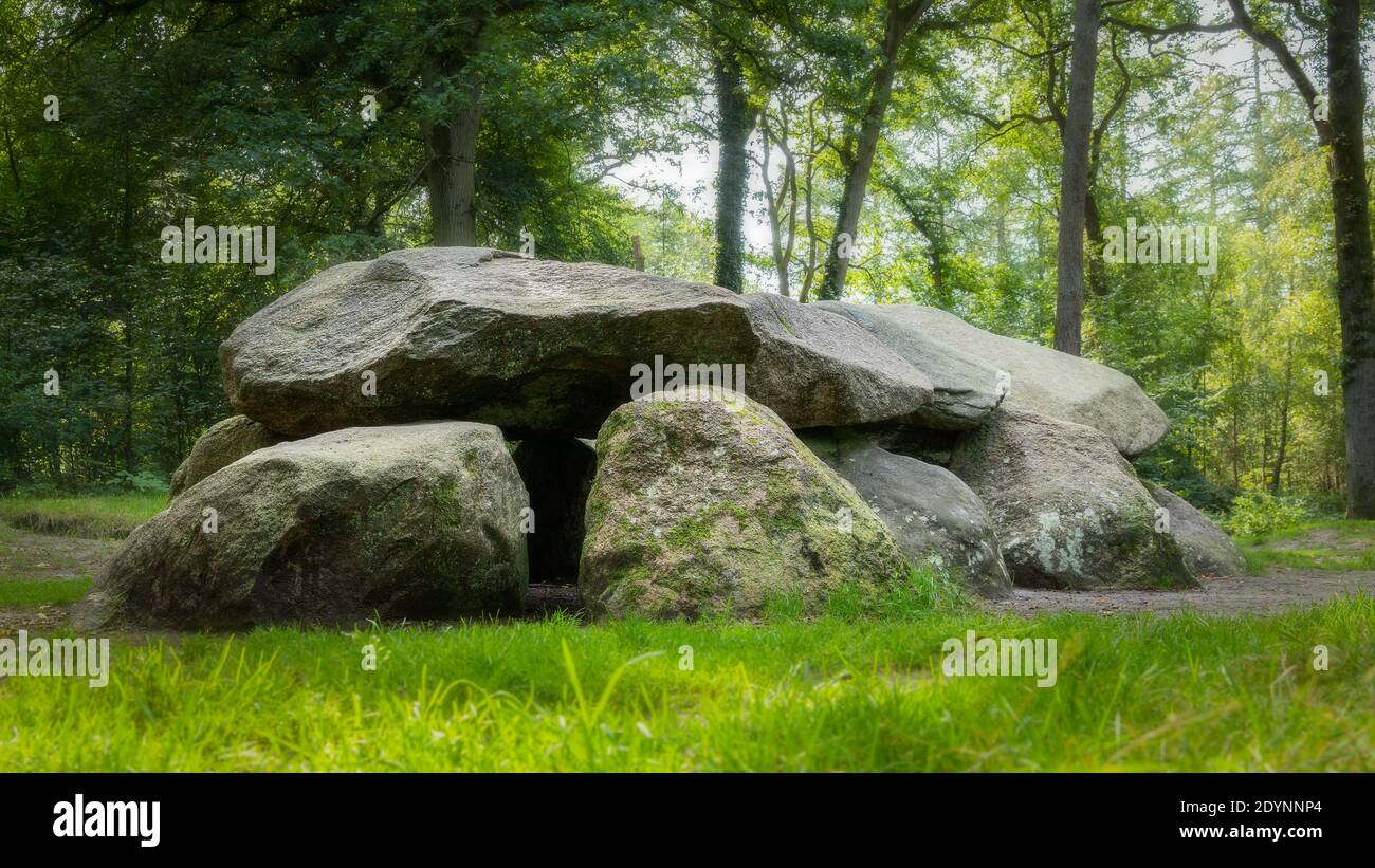 Mégalith dolmen dans la forêt de Drenthe Banque D'Images