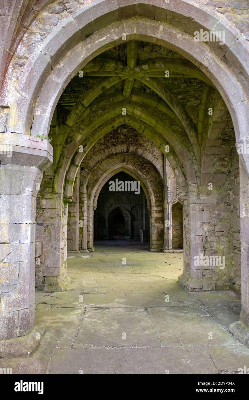 Magnifique couloir médiéval dans une ancienne abbaye irlandaise médiévale. Banque D'Images