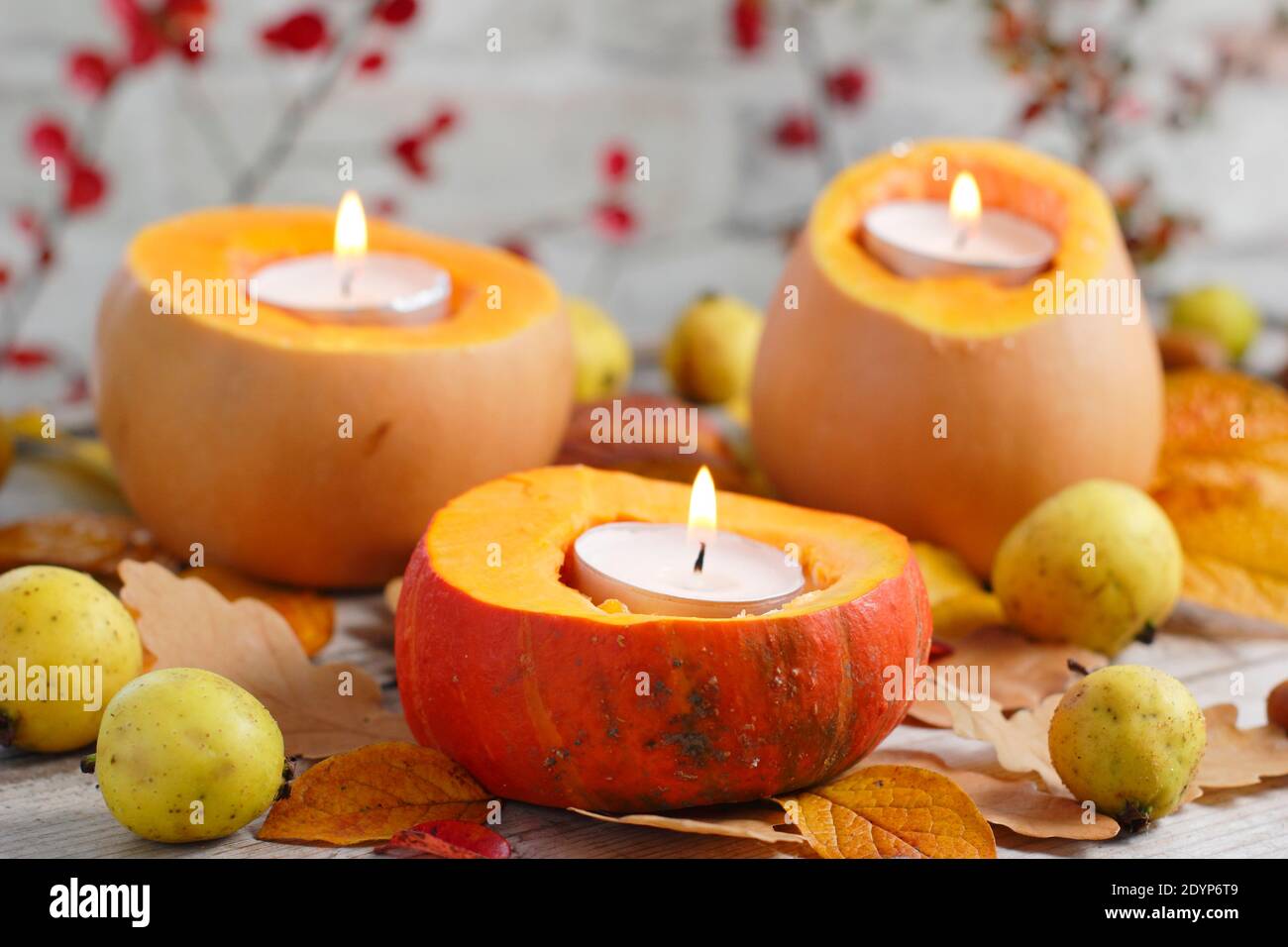 Bougies de jardin d'automne. Arrangement d'automne de petites citrouilles sculptées pour tenir des bougies chauffe-plat pour un affichage décoratif de jardin. ROYAUME-UNI Banque D'Images