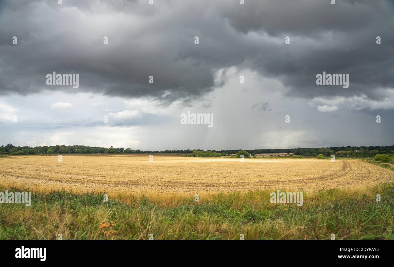 Les nuages se forment avant un orage sur les champs de la fin de l'été Banque D'Images