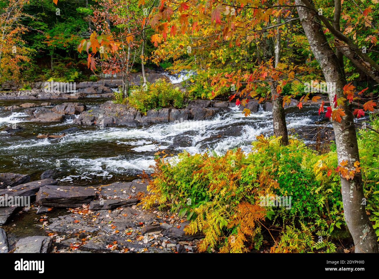 Chutes Cordova Cordova Lake Crowe River Havelock Peterborough County Ontario Le Canada en automne Banque D'Images