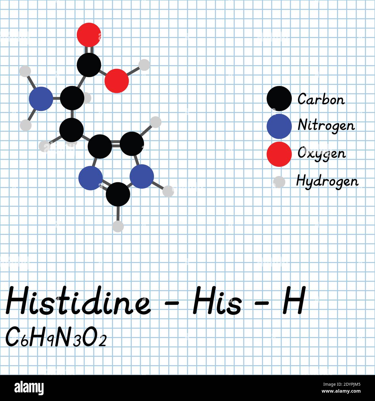 Histidine - HIS - H acides aminés formule moléculaire et structure chimique . Modèle de boule et de bâton 2D sur fond de feuille de papier de l'école. EPS10 Illustration de Vecteur