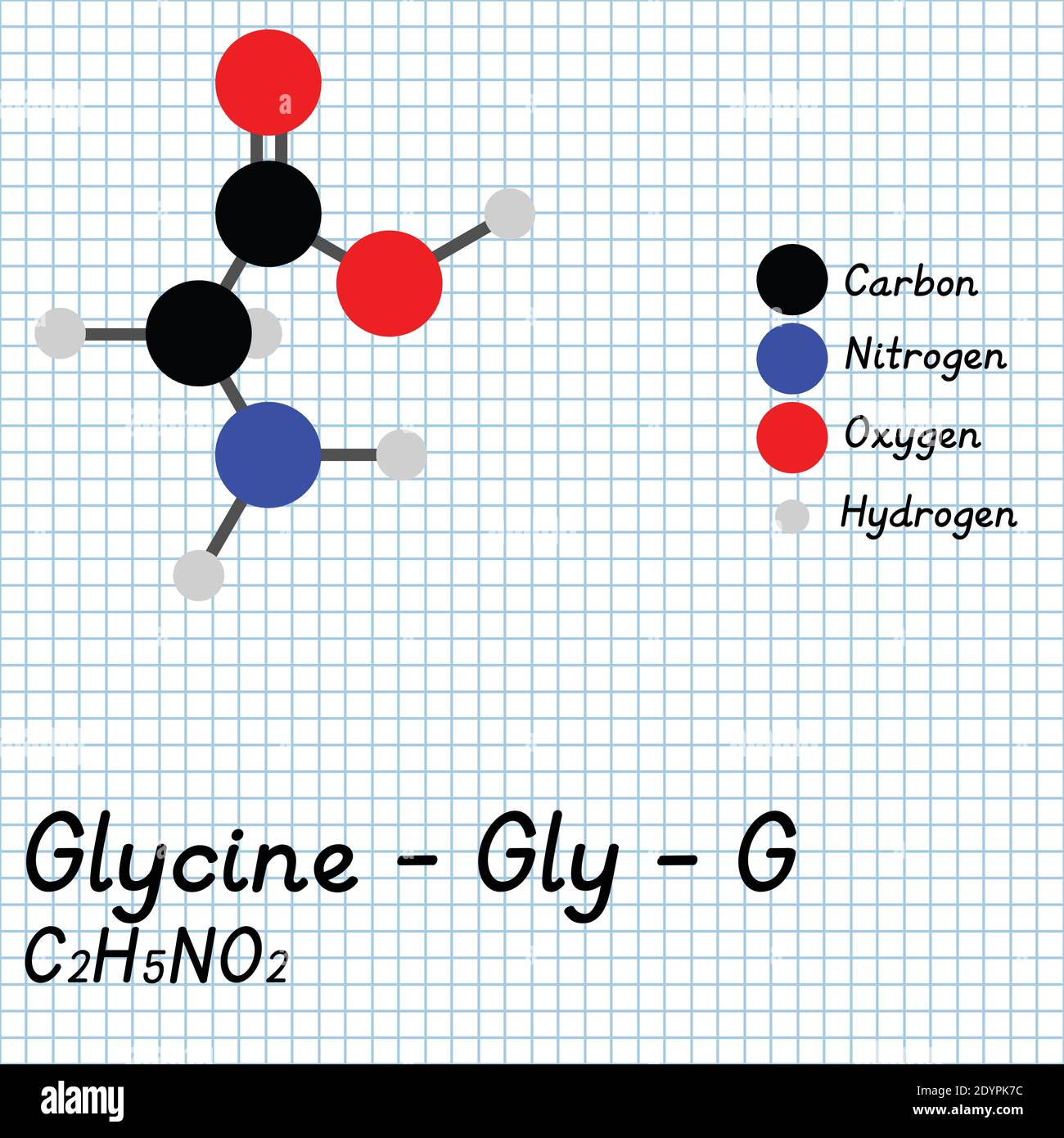 Glycine - Gly - G acides aminés formule moléculaire et structure chimique . Modèle de boule et de bâton 2D sur fond de feuille de papier de l'école. EPS10 Illustration de Vecteur