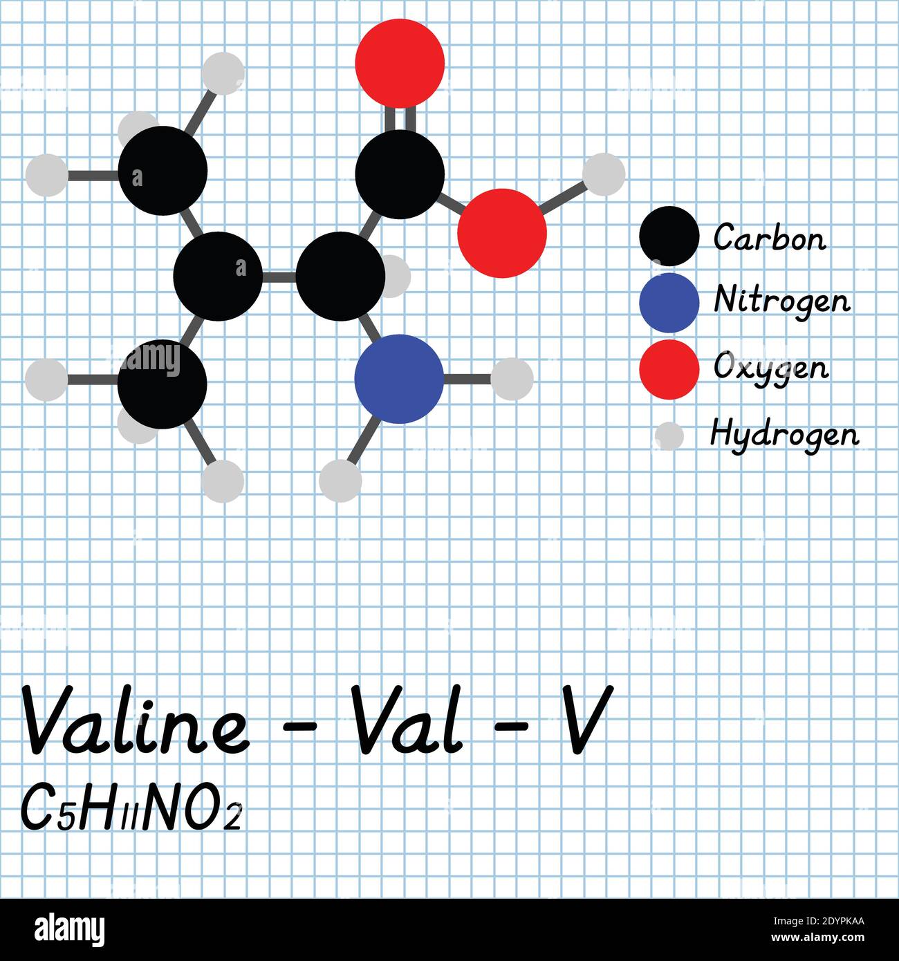 Valine - Val - V acides aminés formule moléculaire et structure chimique . Modèle de boule et de bâton 2D sur fond de feuille de papier de l'école. EPS10 Illustration de Vecteur