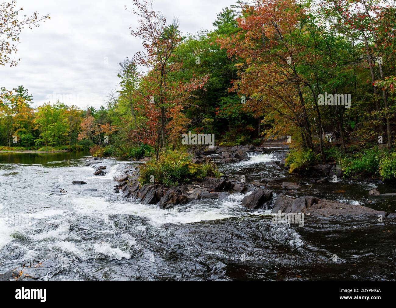 Chutes Cordova Cordova Lake Crowe River Havelock Peterborough County Ontario Le Canada en automne Banque D'Images