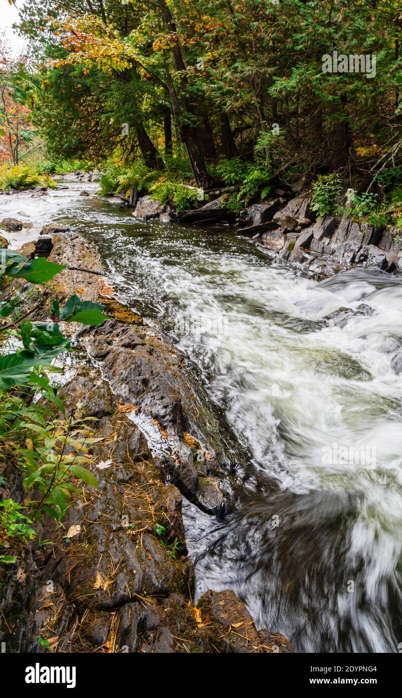 Chutes Cordova Cordova Lake Crowe River Havelock Peterborough County Ontario Le Canada en automne Banque D'Images