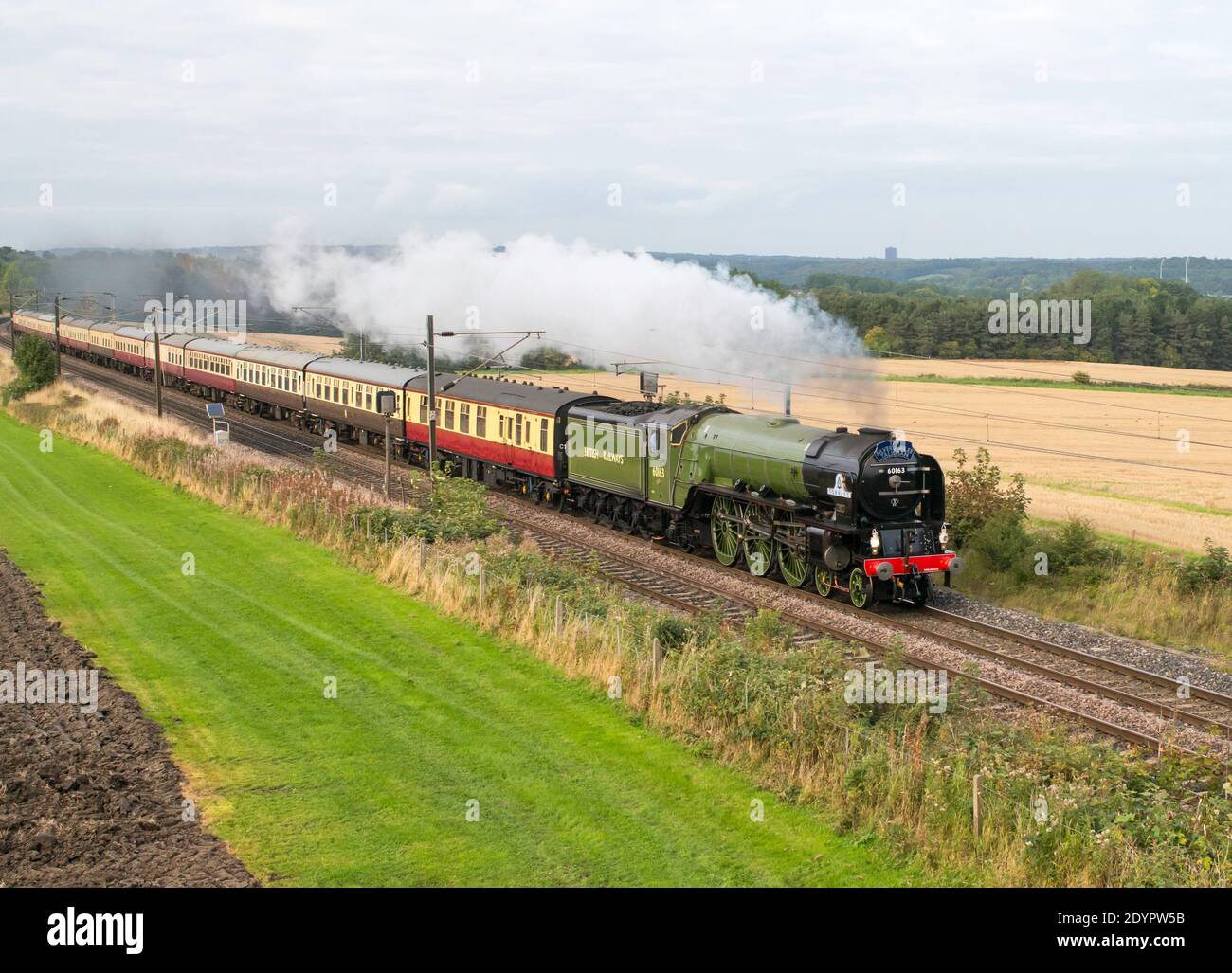 2008 locomotive à vapeur construite 60163 Tornado passant par Plawsworth sur la ligne principale de la côte est en 2015, Co. Durham, Angleterre, Royaume-Uni Banque D'Images