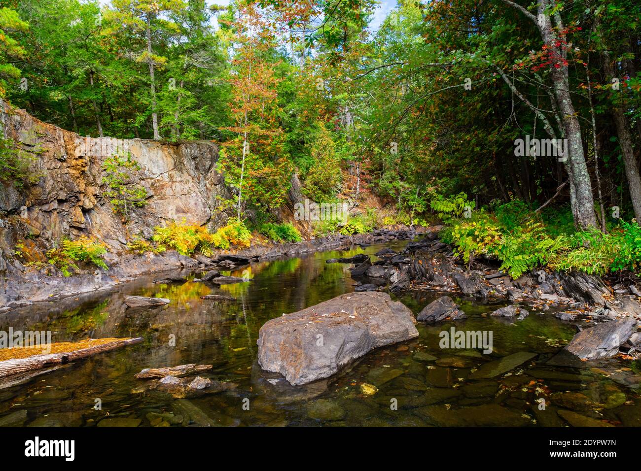 Chutes Cordova Cordova Lake Crowe River Havelock Peterborough County Ontario Le Canada en automne Banque D'Images