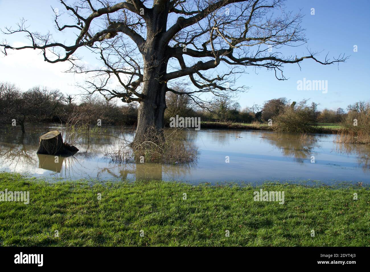 Rivière débordé dans la ville de Horley Banque D'Images