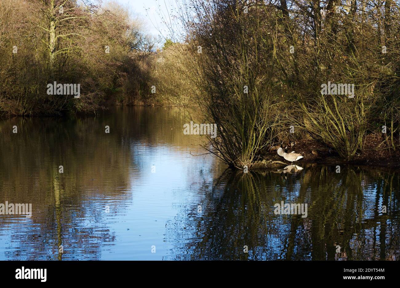 lac en hiver ensoleillé dans une petite ville anglaise Banque D'Images