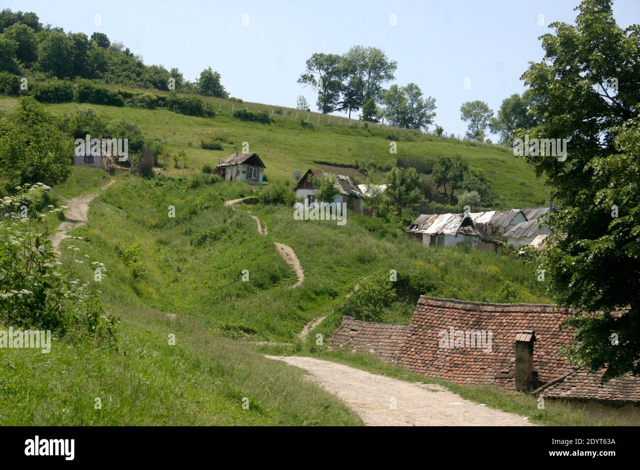 Sibiu Comté, Roumanie. Un 'village' de cabanes maison construit par les Romani (Rroma, Gypsy). Banque D'Images