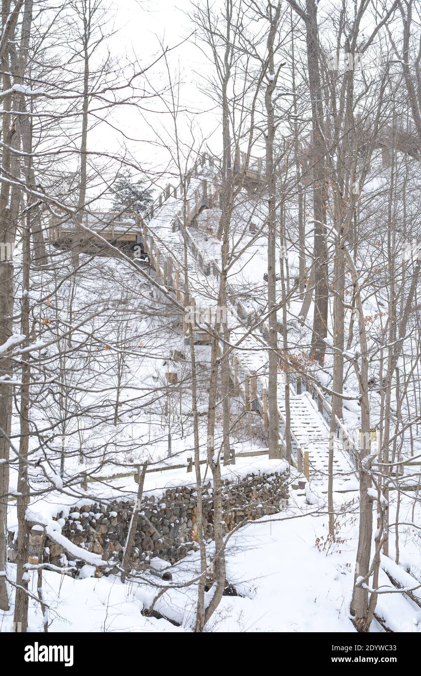 Réserve de Rocky River pendant l'hiver couverte de neige Banque D'Images