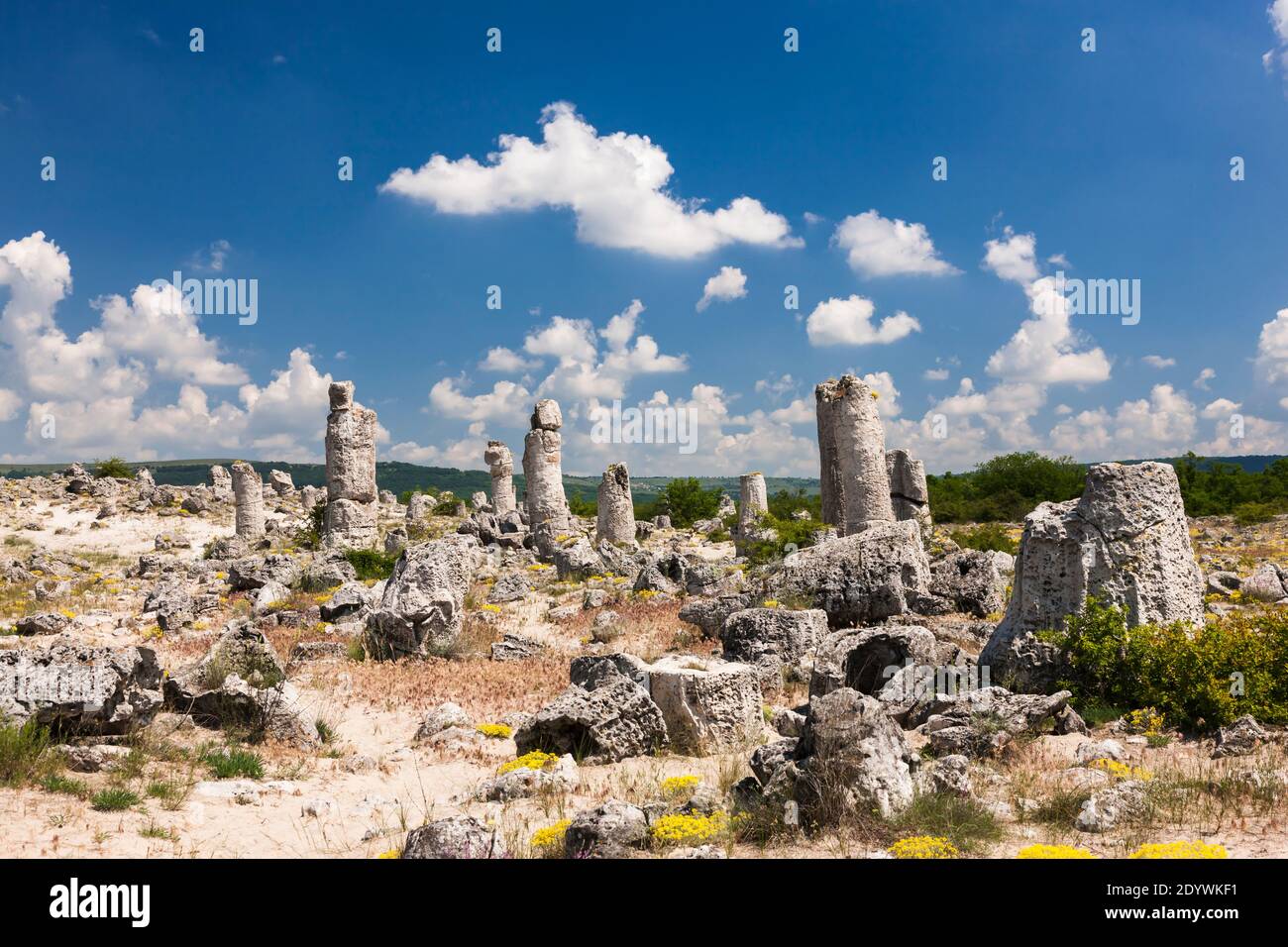 La forêt de pierres, Pobiti Kamani, Dikilitash, formations de pierres naturelles, province de Varna, Bulgarie, Europe du Sud-est, Europe Banque D'Images