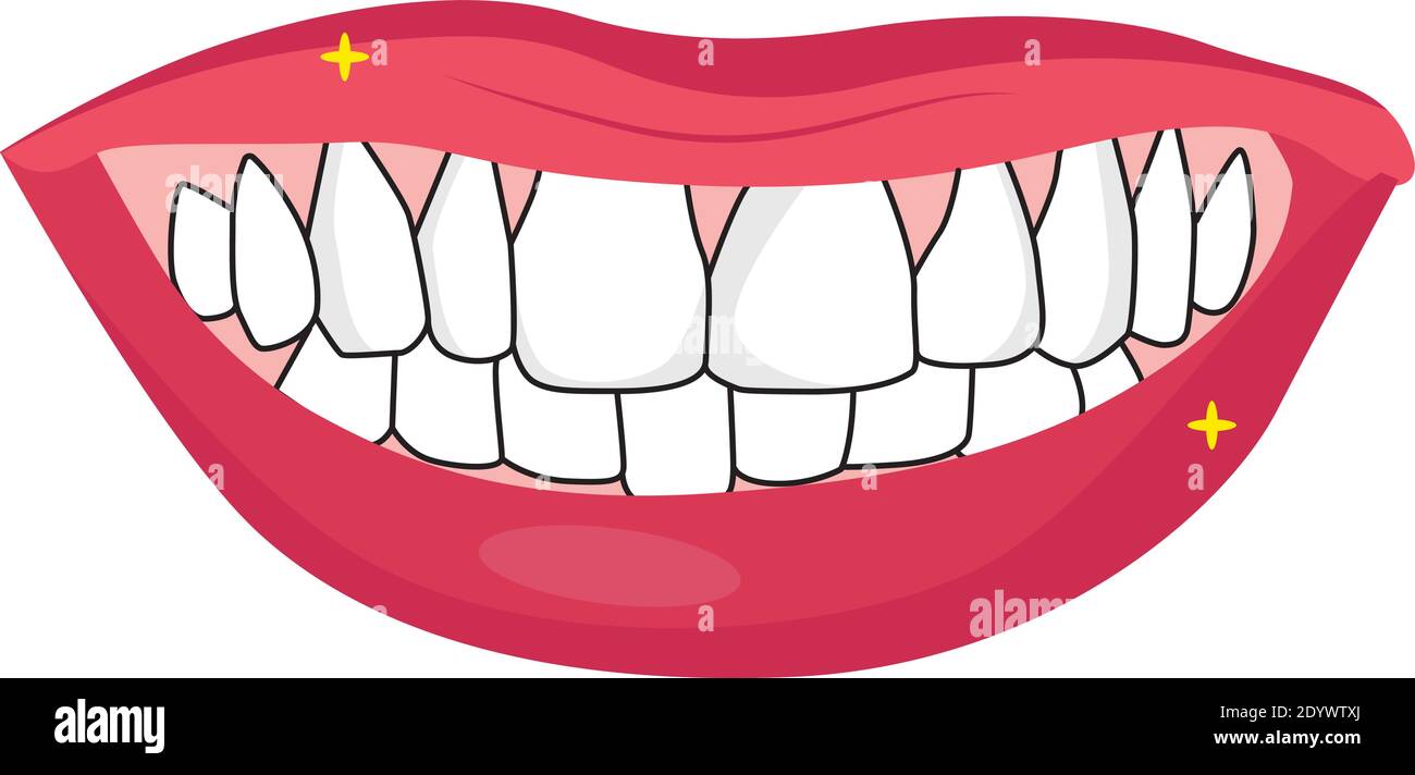 Dents blanches, illustration, vecteur sur fond blanc. Illustration de Vecteur