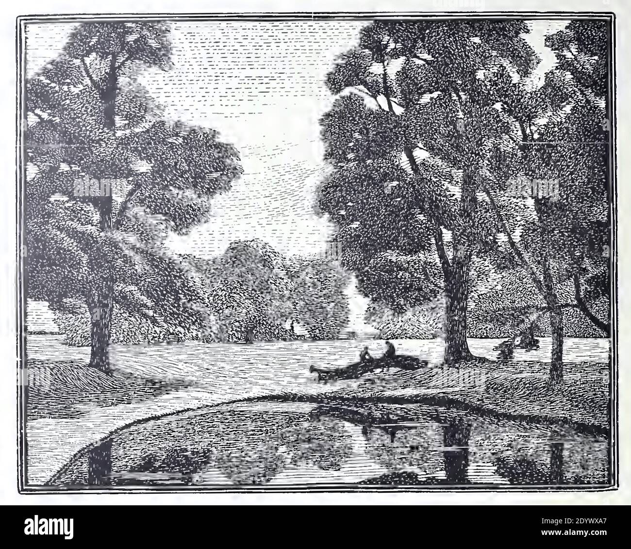 Vintage ancien imprimé d'une gravure en bois appelée Elms by Un étang par Gwen Raverat à partir de 1917 Banque D'Images