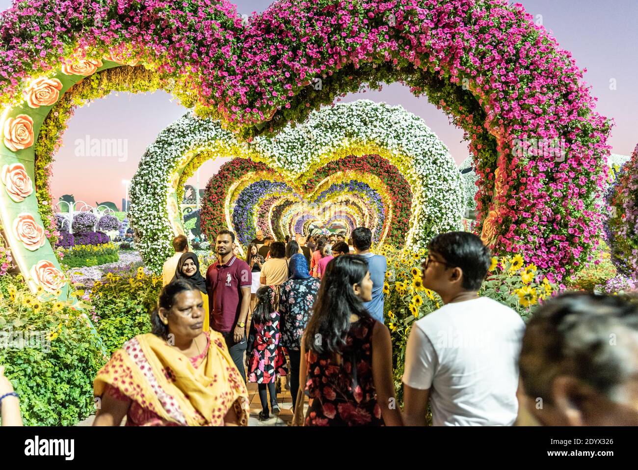 DUBAÏ, ÉMIRATS ARABES UNIS - 05 décembre 2019 : Dubaï, Émirats arabes Unis, 01 décembre 2019, Dubai Miracle Garden Banque D'Images