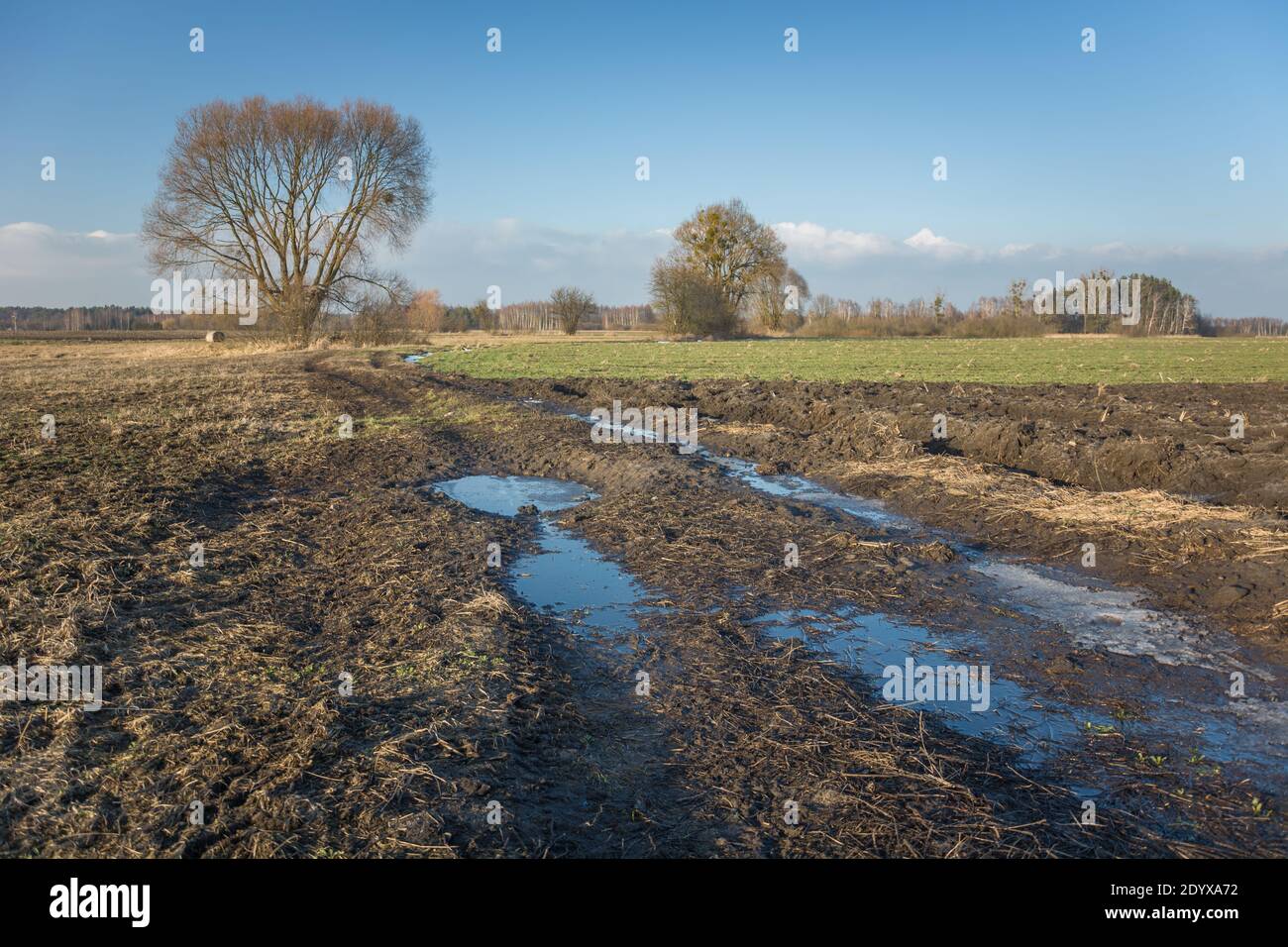 Boue et eau sur la route de terre à travers les champs Banque D'Images
