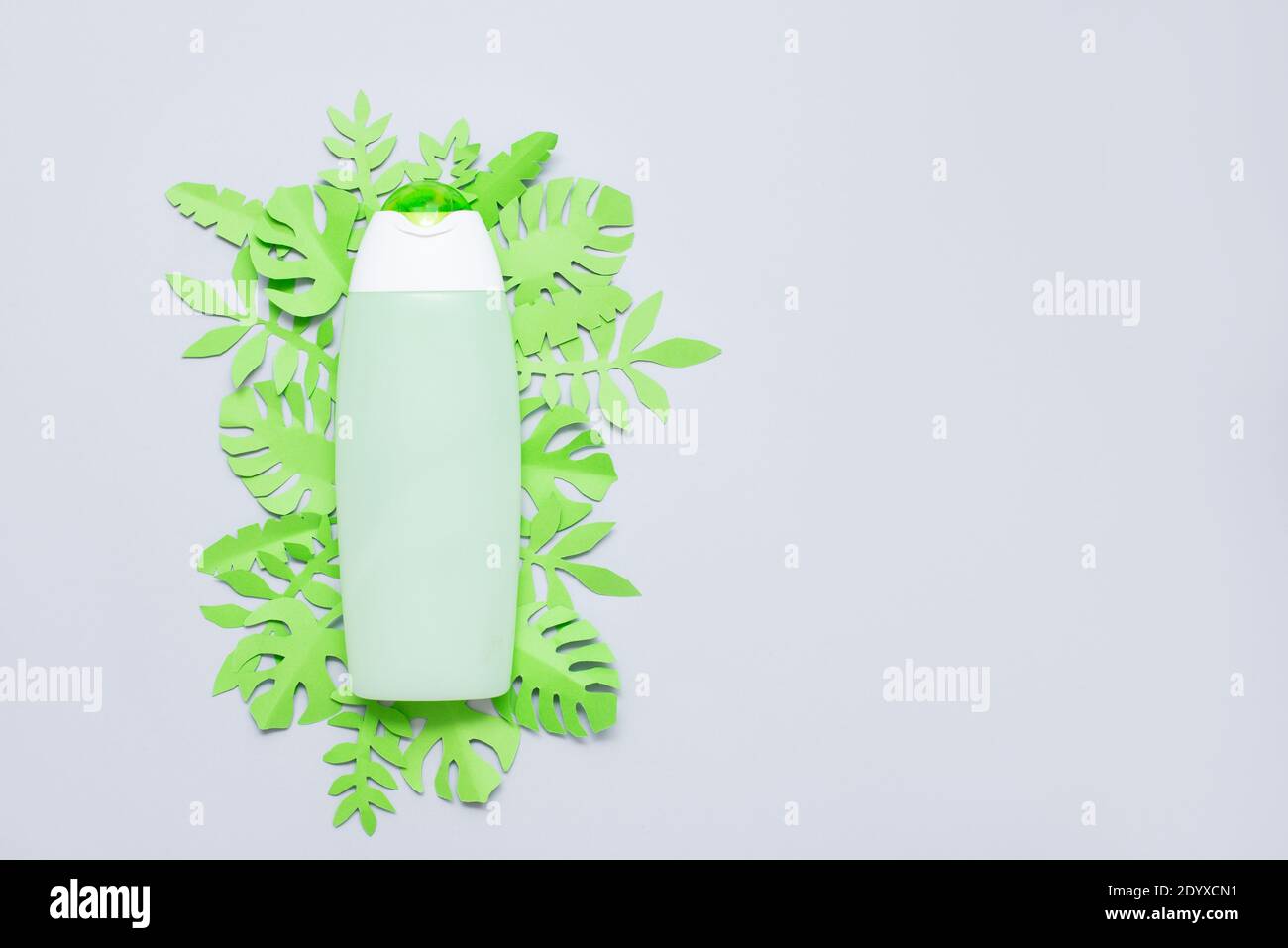 Bouteille de cosmétiques d'entretien avec feuilles de papier vert sur fond gris. Shampooing naturel, concept spa. Vue de dessus, plan d'appartement. Banque D'Images