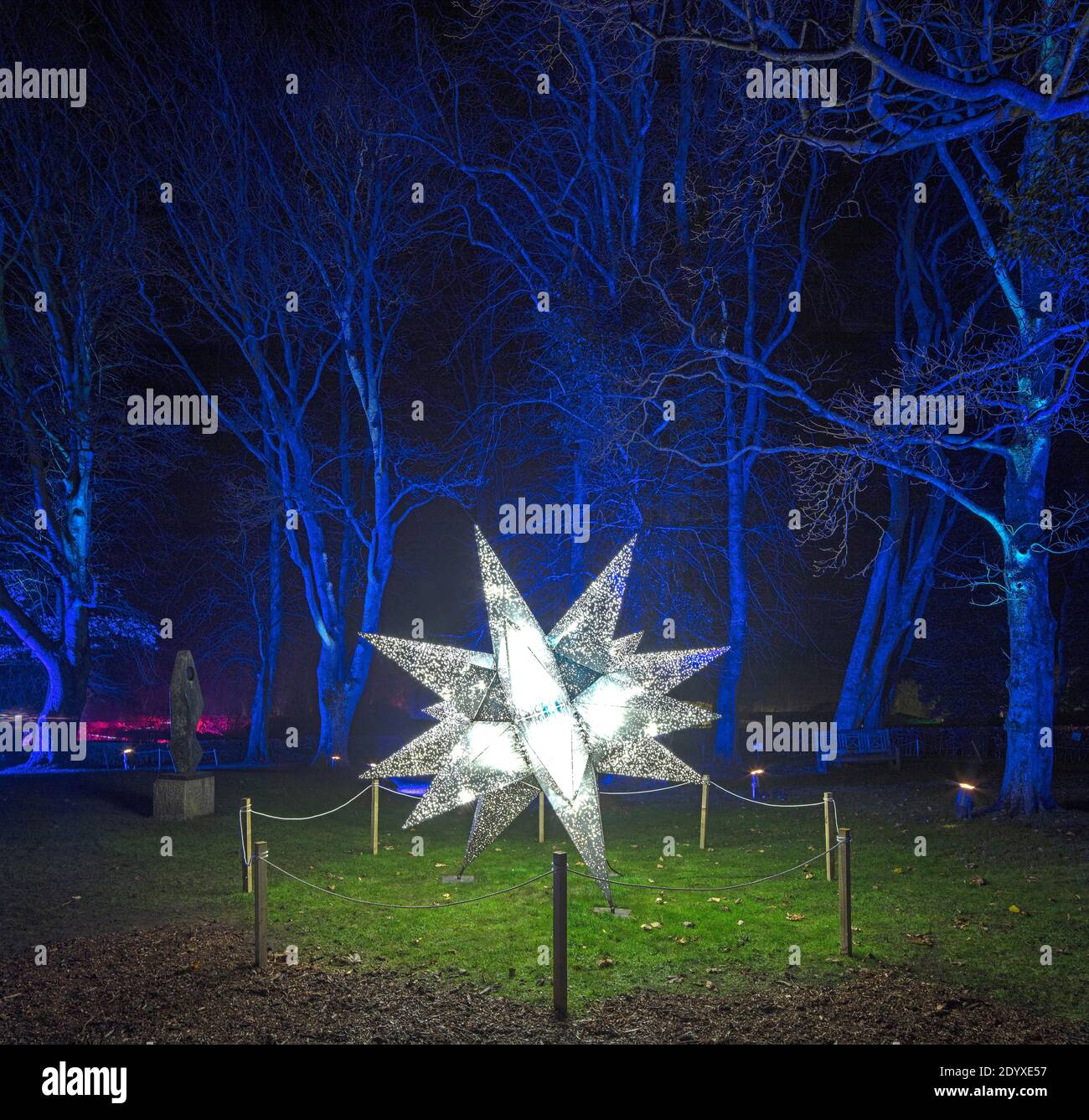 Illuminations de Noël au Alnwick Garden, Alnwick, Northumberland, Angleterre, Royaume-Uni Banque D'Images