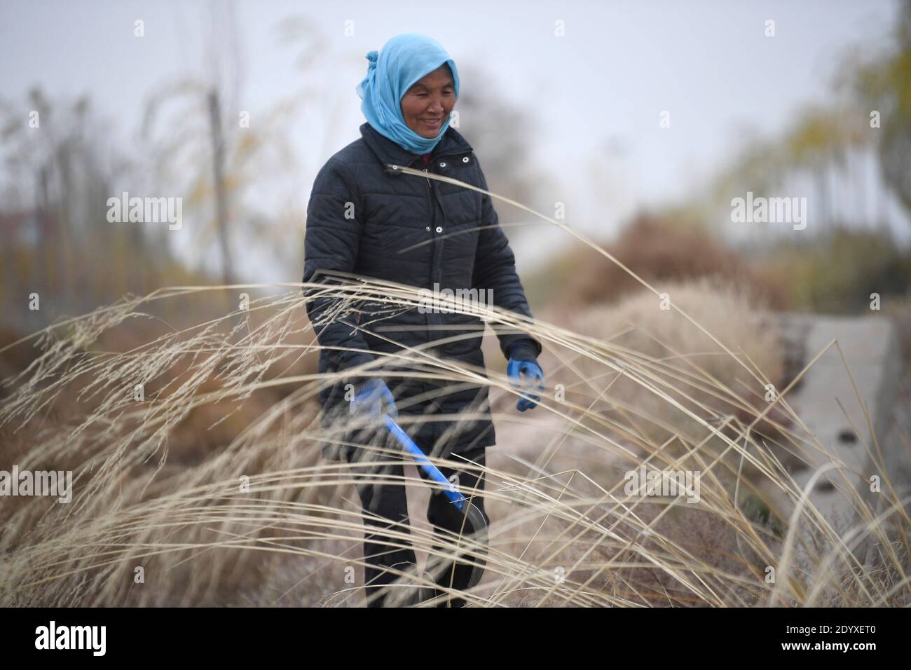 (201228) -- YINCHUAN, 28 décembre 2020 (Xinhua) -- Li Yaomei est vu dans un champ de paille du village de Longyuan, district de Hongsibao, dans la ville de Wuzhong, région autonome de Ningxia hui, dans le nord-ouest de la Chine, le 27 octobre 2020. Xihaigu, une région en grande partie montagneuse du centre-sud de Ningxia, a été une fois infligée par une pauvreté profonde et a marqué le « lieu le plus inadapté pour les établissements humains » par les Nations Unies dans les années 1970 en raison de la remise en état des terres, de la sécheresse et d'un environnement écologique fragile. Le 16 novembre 2020, Xihaigu a toujours fait ses adieux à la pauvreté absolue, au cours de laquelle le « pouvoir » a joué un rôle indispensable. Banque D'Images