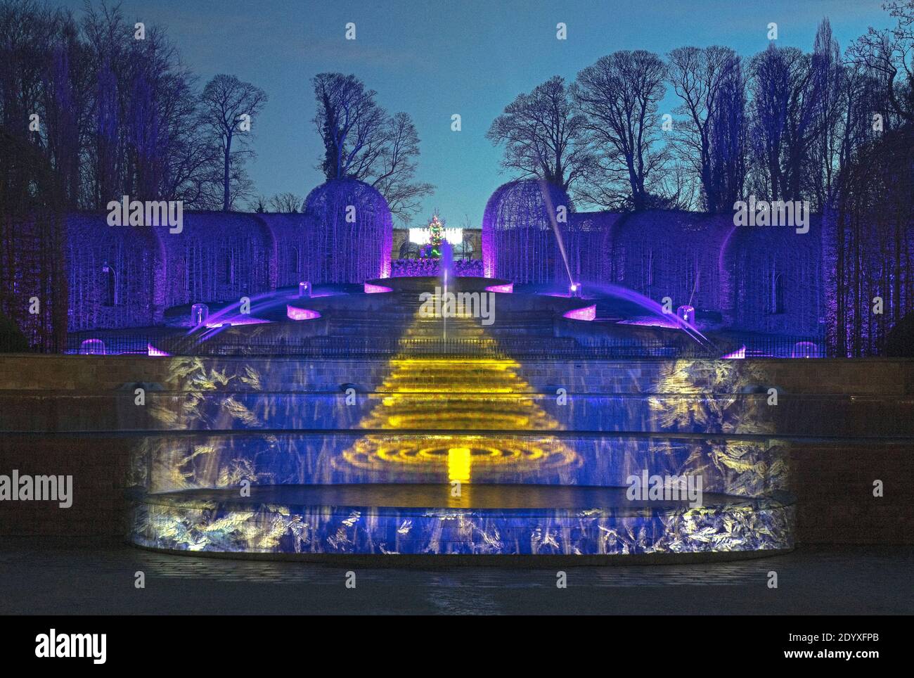 Illuminations de Noël au Alnwick Garden, Alnwick, Northumberland, Angleterre, Royaume-Uni Banque D'Images