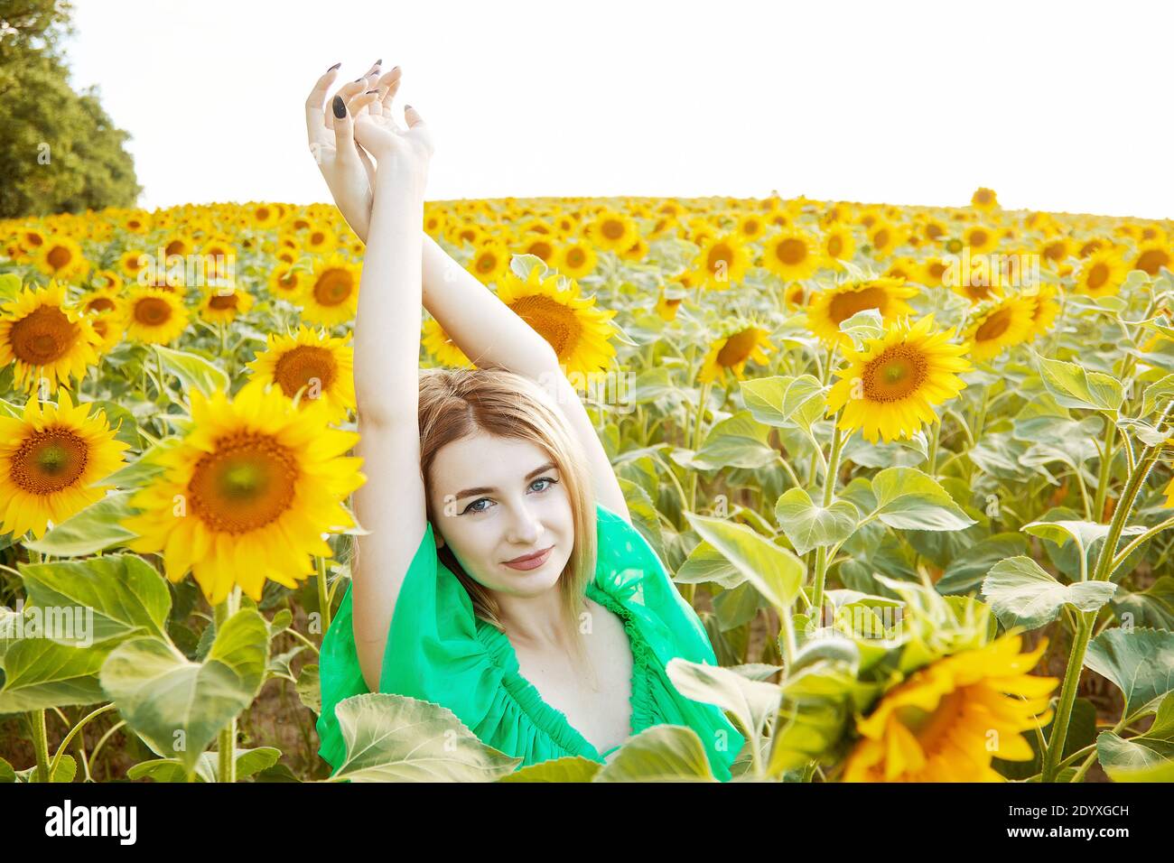 belle jeune fille en tournesols heureux souriant Banque D'Images