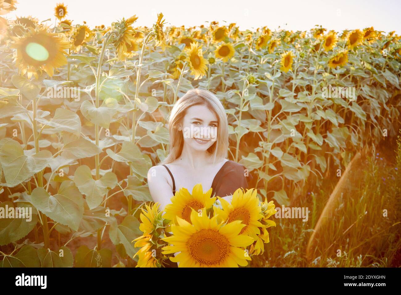 belle jeune fille en tournesols heureux souriant Banque D'Images