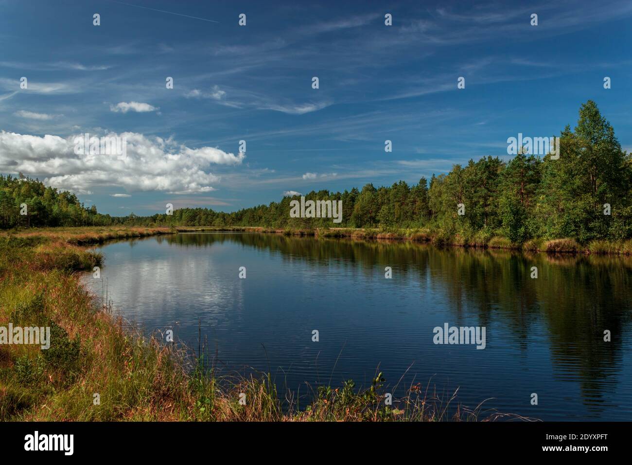 Paysage du lac de Pēterezers par une belle journée d'été. Banque D'Images